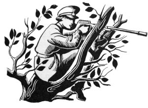 Frau Gewehr Baum