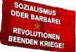Sozialismus oder Barbarei